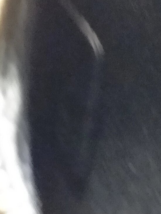 Authentic Dior Lady Dior Leopard Canvas Bag | Christian Dior Top Handle - Picture 16 of 16